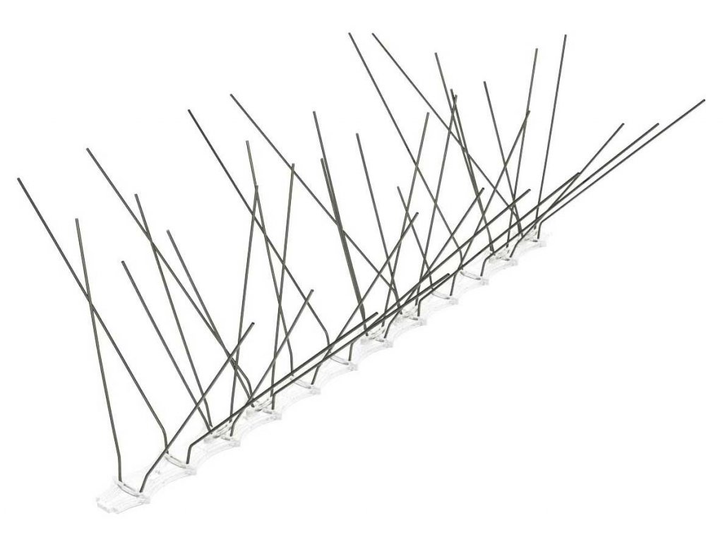 Odstraňovanie vtáčích hniezd a ochrana proti nim