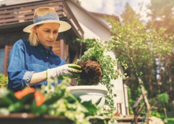 Aké pracovné oblečenie sa vám hodí pri prácach okolo domu a v záhrade?
