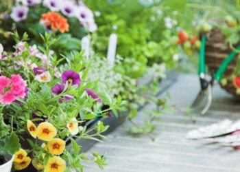 Najčastejšie vyberané motívy tapiet do obývačky – prehľad trendov a inšpirácií