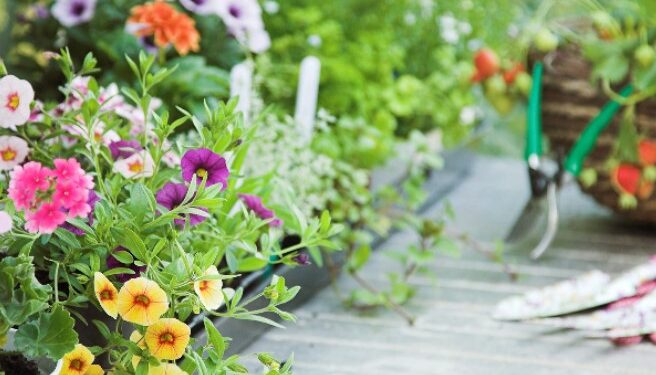 Najčastejšie vyberané motívy tapiet do obývačky – prehľad trendov a inšpirácií